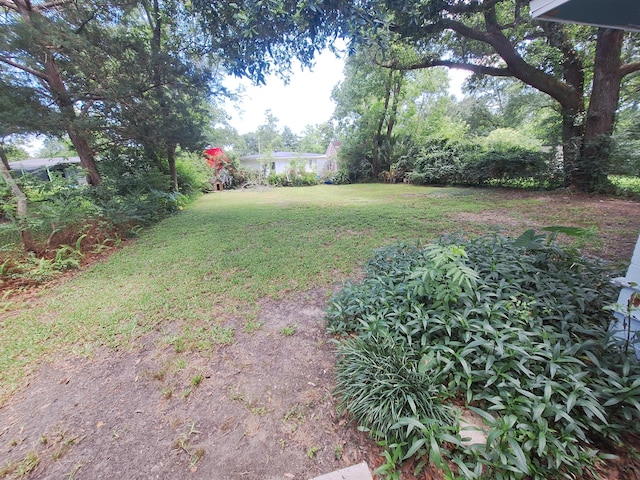 13 Carey Ave, Pensacola, FL 32506 - photo 6