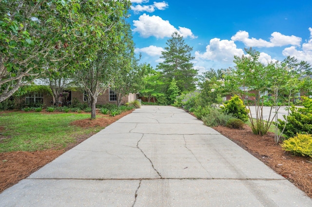5420 Flag Tail Ln, Crestview, FL 32539 - view of home's community with driveway and a lawn
