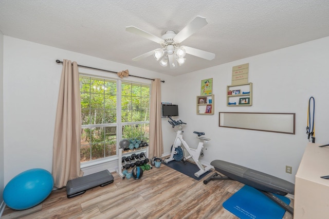 5420 Flag Tail Ln, Crestview, FL 32539 - workout room featuring wood finished floors, a textured ceiling, and a ceiling fan