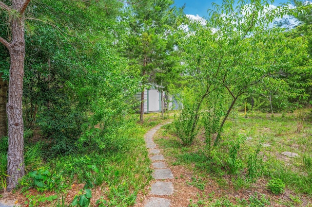 5420 Flag Tail Ln, Crestview, FL 32539 - view of yard