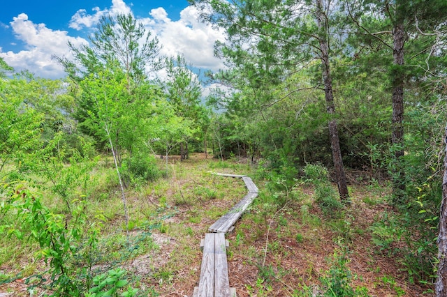 5420 Flag Tail Ln, Crestview, FL 32539 - view of woods