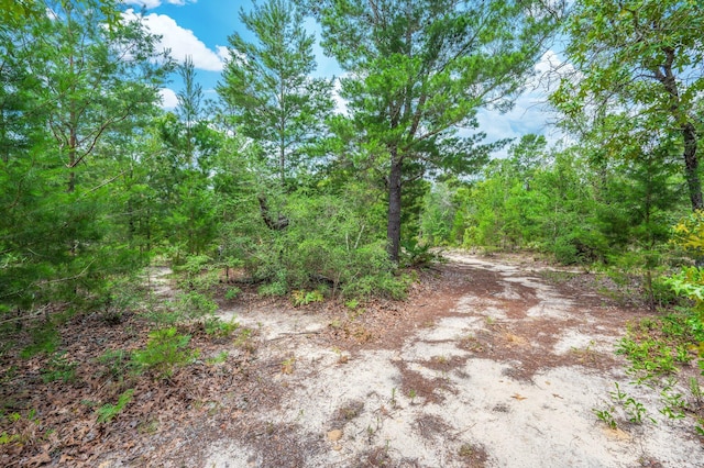 5420 Flag Tail Ln, Crestview, FL 32539 - view of tree filled area