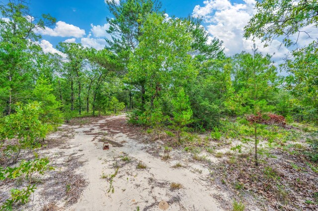 5420 Flag Tail Ln, Crestview, FL 32539 - view of street with a view of trees