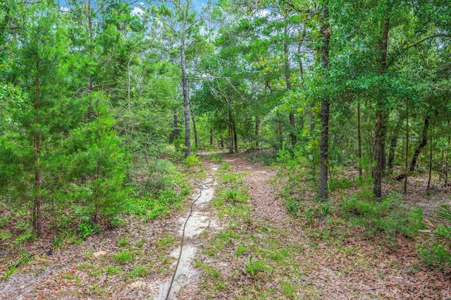 5420 Flag Tail Ln, Crestview, FL 32539 - view of wooded area