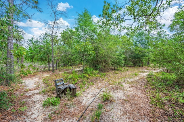 5420 Flag Tail Ln, Crestview, FL 32539 - view of yard featuring a view of trees