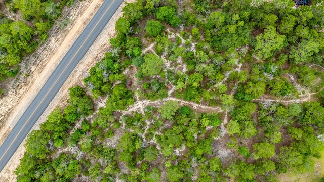 5420 Flag Tail Ln, Crestview, FL 32539 - view of property location
