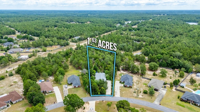 5420 Flag Tail Ln, Crestview, FL 32539 - aerial view of property's location with a heavily wooded area and property parcel outlined