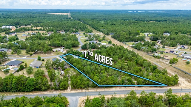 5420 Flag Tail Ln, Crestview, FL 32539 - aerial overview of property's location featuring a heavily wooded area and property boundaries highlighted