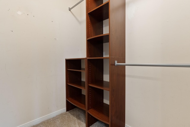 209 Warrior St, Crestview, FL 32536 - walk in closet with carpet flooring
