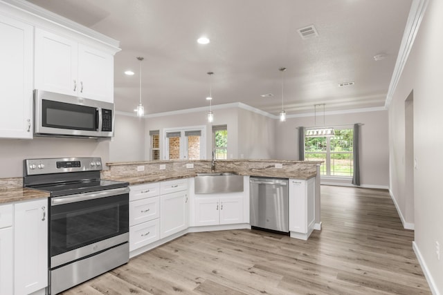 6437 Amanda Ct, Crestview, FL 32536 - kitchen featuring appliances with stainless steel finishes, a sink, a peninsula, crown molding, and light wood-style floors