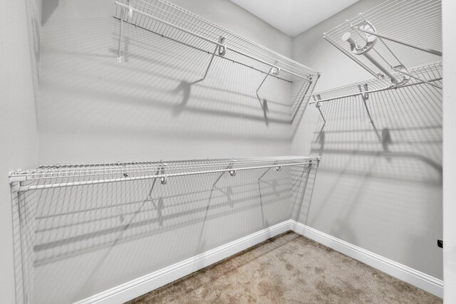 50 Oyster Blvd, Freeport, FL 32439 - spacious closet with carpet floors