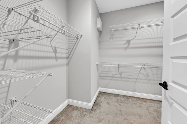 50 Oyster Blvd, Freeport, FL 32439 - spacious closet with carpet floors