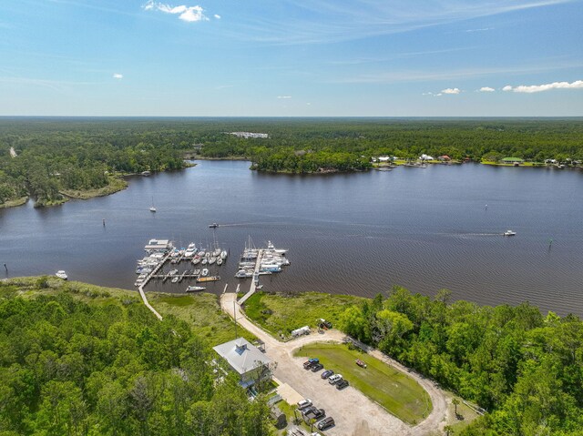 50 Oyster Blvd, Freeport, FL 32439 - aerial view of a heavily wooded area and a large body of water