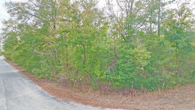 00 Derby Dr, Chipley, FL 32428 - photo 13