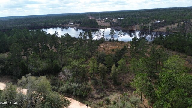 00 Mcpherson Dr, Alford, FL 32420 - photo 3