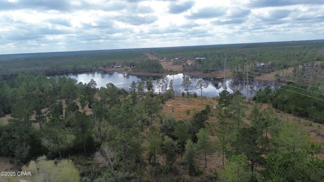 00 Mcpherson Dr, Alford, FL 32420 - photo 4