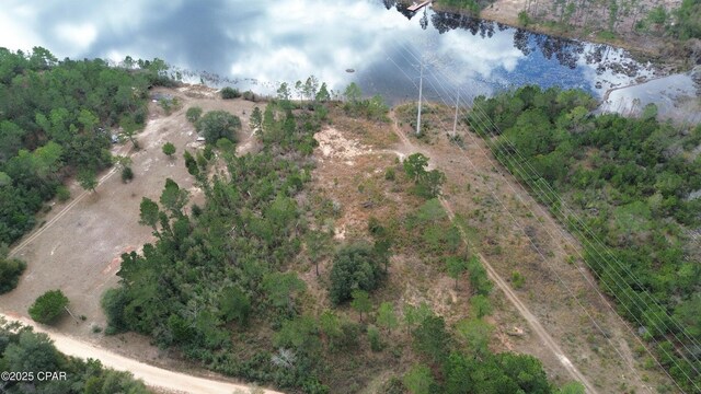 00 Mcpherson Dr, Alford, FL 32420 - photo 5