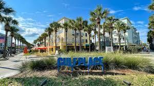 342 Emerald Rdg, Santa Rosa Beach, FL 32459 - photo 59