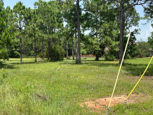 1076 Pearson Rd, Milton, FL 32583