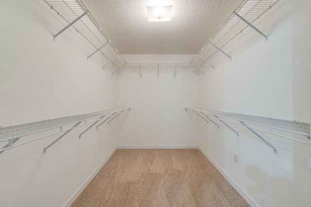 2803 Macgregor Ln, Crestview, FL 32539 - walk in closet with light colored carpet