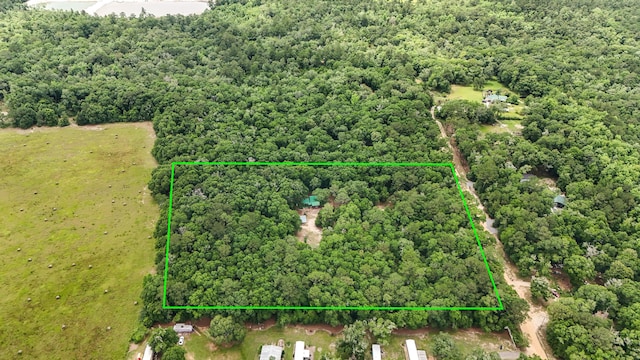 2765 Shade Tree Ln, Ponce De Leon, FL 32455 - view of property location with a forest and property parcel outlined