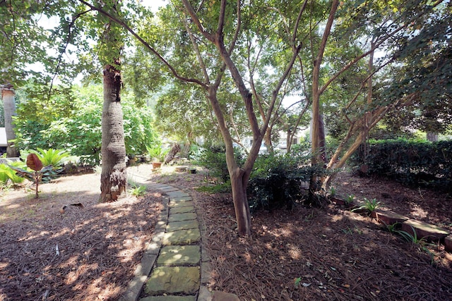 115 Gleneagles Dr, Niceville, FL 32578 - view of yard