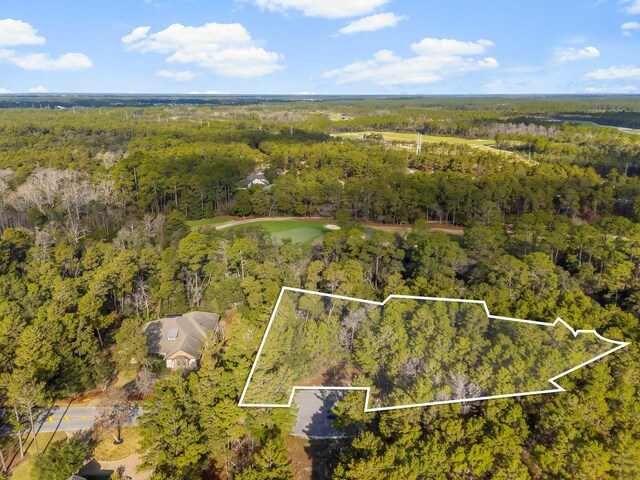 1619 Sharks Tooth Trl, Panama City Beach, FL 32413 - photo 2