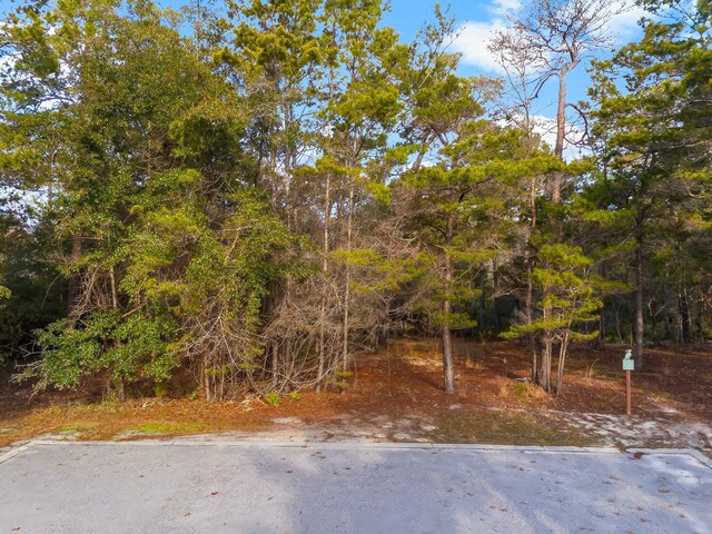 1619 Sharks Tooth Trl, Panama City Beach, FL 32413 - photo 10