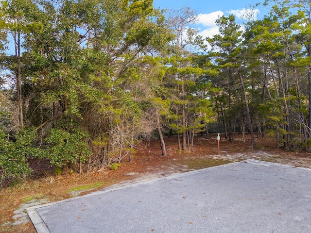 1619 Sharks Tooth Trl, Panama City Beach, FL 32413 - photo 11