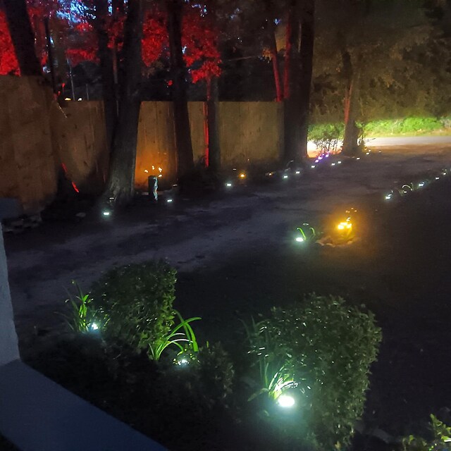 72 Park Ave, Defuniak Springs, FL 32435 - view of yard at night
