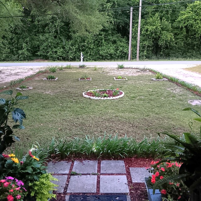 72 Park Ave, Defuniak Springs, FL 32435 - view of grassy yard