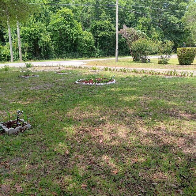 72 Park Ave, Defuniak Springs, FL 32435 - view of grassy yard