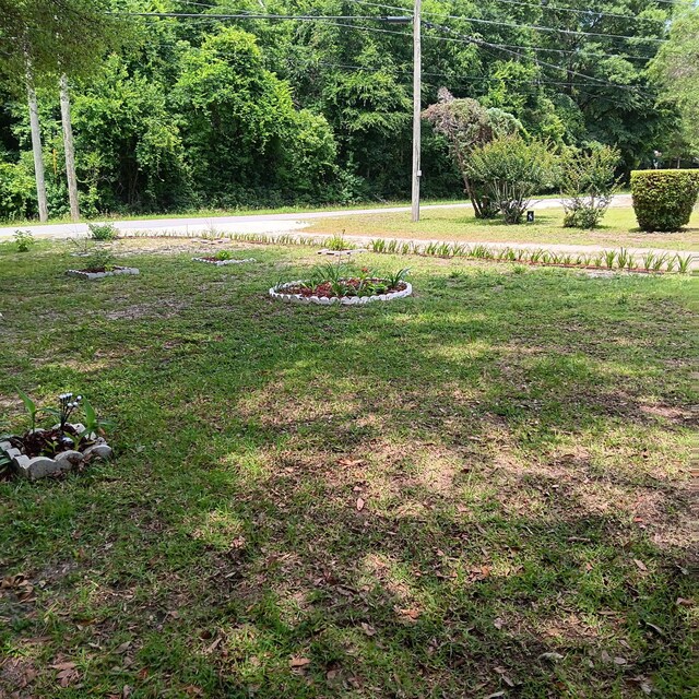 72 Park Ave, Defuniak Springs, FL 32435 - view of grassy yard