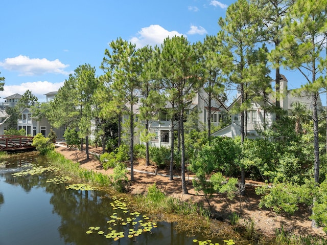 30 E Yacht Pond Ln, Watersound, FL 32461 - photo 42