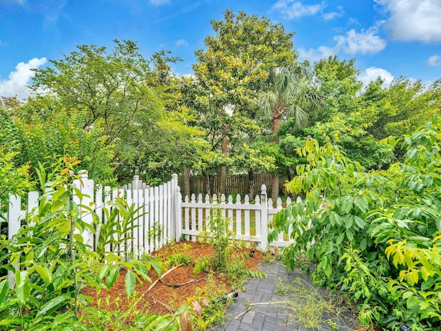 50 Gossamer Ln Unit 10, Inlet Beach, FL 32461 - view of yard