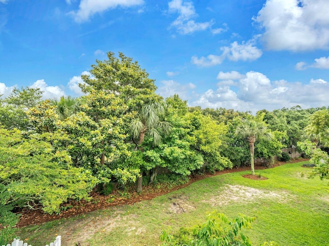 50 Gossamer Ln Unit 10, Inlet Beach, FL 32461 - view of grassy yard