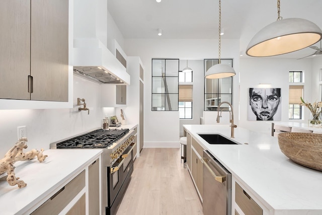 LOT36 Grande Pointe Cir, Inlet Beach, FL 32461 - kitchen featuring appliances with stainless steel finishes, a sink, wall chimney exhaust hood, light wood-style flooring, and light countertops