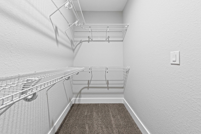 1354 Georgia Ave, Baker, FL 32531 - walk in closet featuring carpet floors