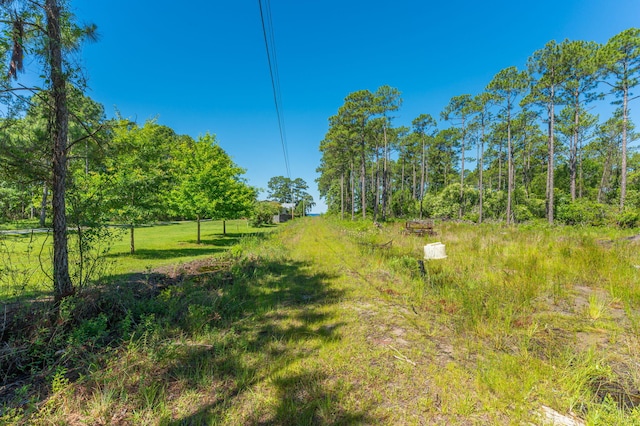 5.38ACRES Watson Rd, Freeport, FL 32439 - photo 15