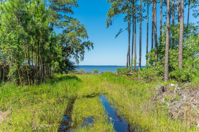 5.38ACRES Watson Rd, Freeport, FL 32439 - photo 4
