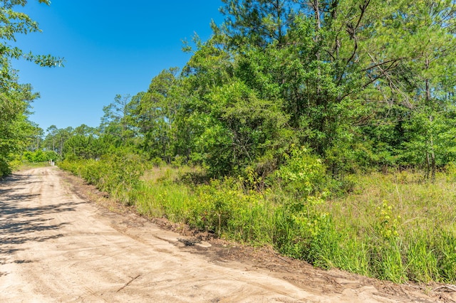 5.38ACRES Watson Rd, Freeport, FL 32439 - photo 14