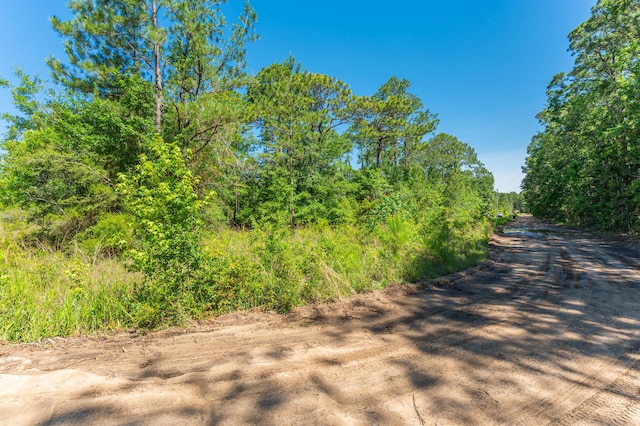 5.38ACRES Watson Rd, Freeport, FL 32439 - photo 10