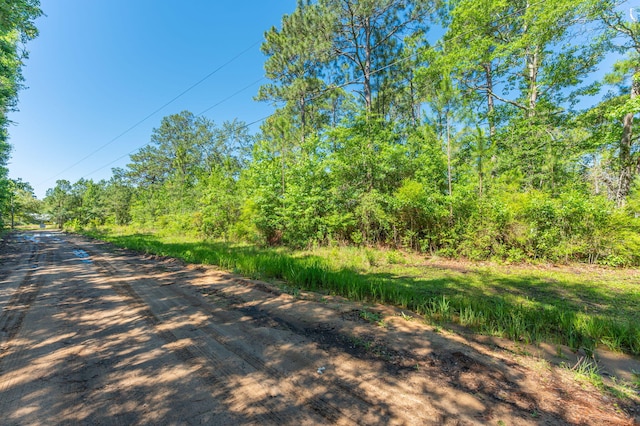 5.38ACRES Watson Rd, Freeport, FL 32439 - photo 17
