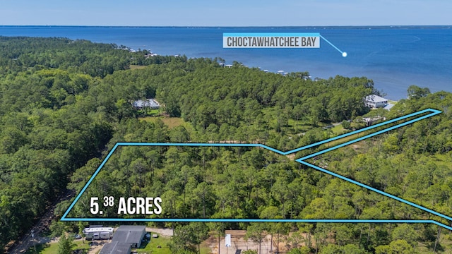 5.38ACRES Watson Rd, Freeport, FL 32439 - photo 5
