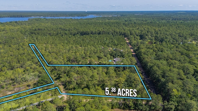 5.38ACRES Watson Rd, Freeport, FL 32439 - photo 9
