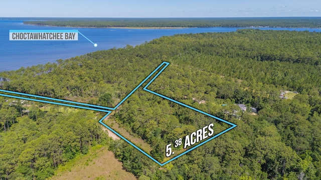 5.38ACRES Watson Rd, Freeport, FL 32439 - photo 6