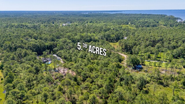 5.38ACRES Watson Rd, Freeport, FL 32439 - photo 11
