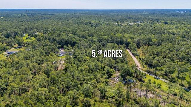 5.38ACRES Watson Rd, Freeport, FL 32439 - photo 12