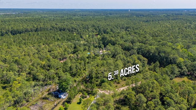 5.38ACRES Watson Rd, Freeport, FL 32439 - photo 13