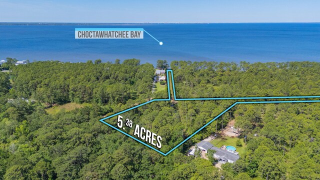 5.38ACRES Watson Rd, Freeport, FL 32439 - photo 7